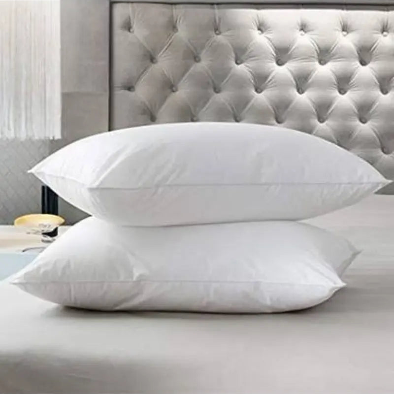 Premium Air-Tight Pillows | Set of 2