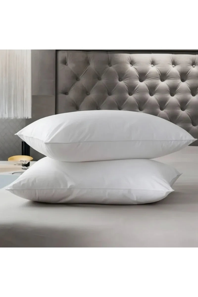 Premium Air-Tight Pillows | Set of 2