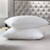 2 Air Tight Pillows