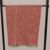 Watermelon Velvet Towel
