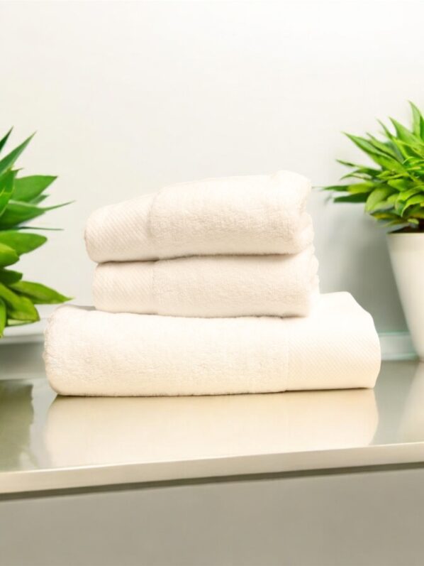 White Pack of 3 | branded article | 100% cotton
